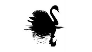 Cisne-Negro